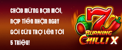 Thưởng Chào Mừng 100% Nạp Đầu promotion
